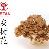 DETAN德添舞茸 新鮮灰樹花 購買請電話聯(lián)系，否則不發(fā)貨