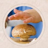 DETAN德添牛排菇 褐菇 早餐菇 購買請聯(lián)系，否則不發(fā)貨