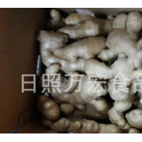 生產工廠供應出口生姜，風干姜，保鮮姜。
