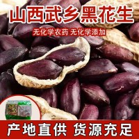批發(fā)武鄉(xiāng)黑花生帶殼熟花生農(nóng)產(chǎn)品花生歡迎選購(gòu)