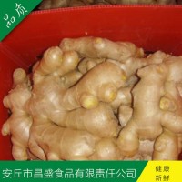 出口歐美、加拿大、荷蘭、英國級保鮮姜、風干姜（價格面議）