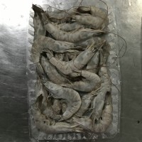 加工南美白對(duì)蝦，冷凍南美白對(duì)蝦，唐山南美白對(duì)蝦，天津南美蝦