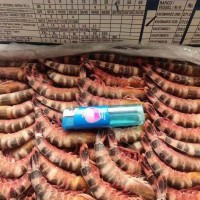 生凍貓虎蝦/斑節蝦，一盒4斤，一件6盒