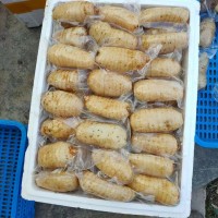 鮮天麻真空保鮮天麻一個(gè)一袋，酒店冰鎮(zhèn)天麻片，天麻食材長(zhǎng)年供應(yīng)