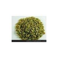 供應葡萄干 無核白一級葡萄干 優(yōu)質(zhì)新疆特產(chǎn)葡萄干 批發(fā)新疆干果