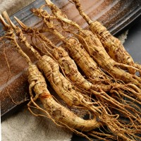 19年林下參干殘數長白山微殘人參生嗮參老山參殘支足干東北人參