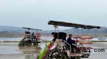 微信截圖_20250410154936