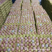 批發(fā)新鮮農(nóng)家散養(yǎng)土雞蛋草雞蛋笨雞蛋粉殼蛋鮮雞蛋柴雞蛋谷物蛋