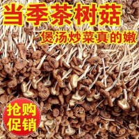 茶樹(shù)菇干貨 農(nóng)家特優(yōu)新貨香菇干貨特產(chǎn)茶新菌菇家用煲湯批發(fā)散裝