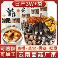 云南特產(chǎn)菌湯包干貨批貨市場農(nóng)副產(chǎn)品干蘑菇燉雞煲湯羊肚菌湯料包