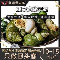 加拿大翡翠螺大海螺海鮮水產自助餐刺身料理火鍋燒烤食材批發(fā)野生