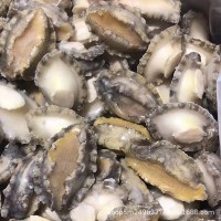 成都批發(fā)鮑魚肉10斤件 去殼去肚速凍純鮑魚肉海霸王酒店食材