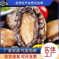 鮑魚鮮活冷凍特大鮑魚肉小鮑魚商用新海鮮水產(chǎn)撈汁飯批發(fā)火鍋食材