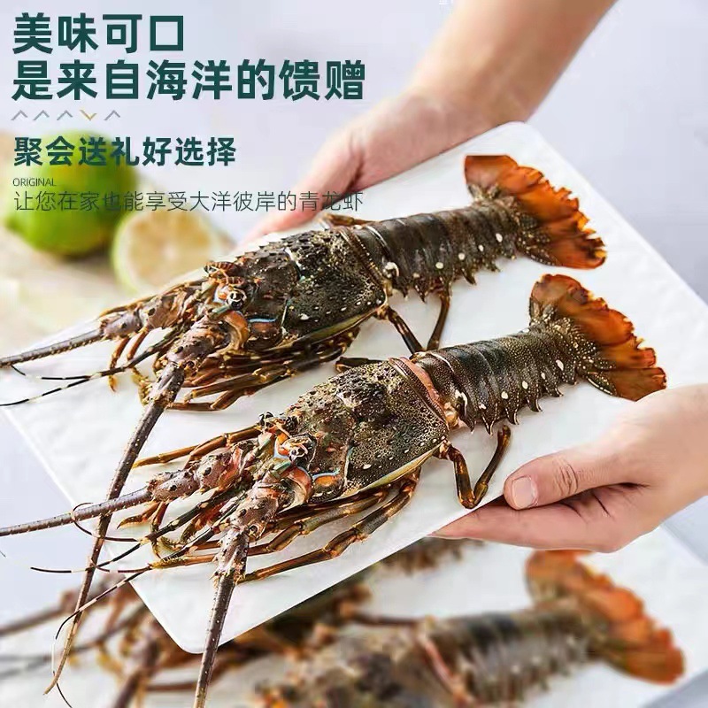 O1CN01hkNugC2FkV0mBg5Go_!!2214120288918-0-cib